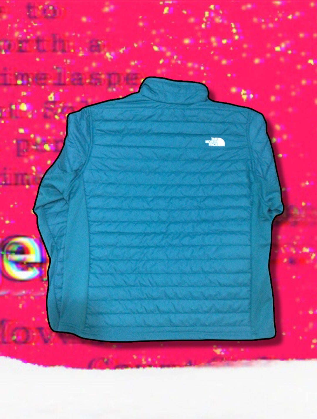 TNF (North Face) Jacket Men's XL